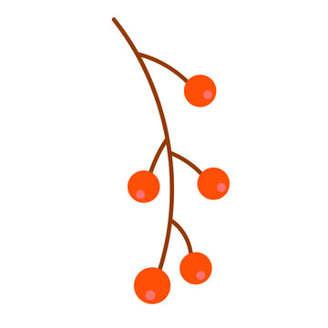 Flat Orange Berries Branch Vector Illustration