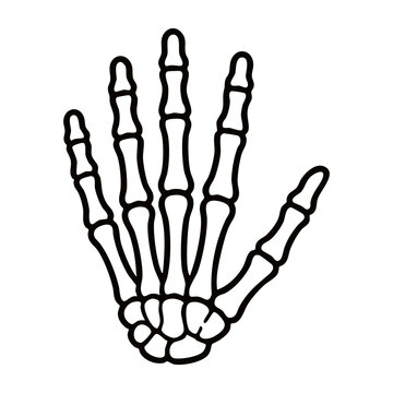 Skeleton Hand Bone Vector Icon Line Art - Ideal for Halloween Spooky Graphic Design, Poster, Pattern, and Sticker Projects