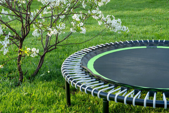 mini trampoline for fitness exercising and rebounding in a backyard, spring scenery with cherry tree in blossom