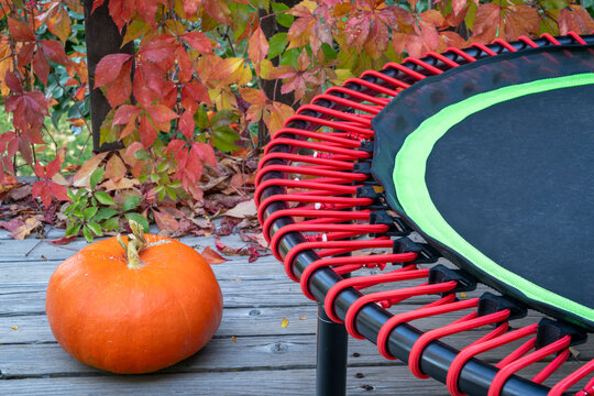 detail of mini trampoline for fitness exercising and rebounding in a backyard, fall scenery with a pumpkin
