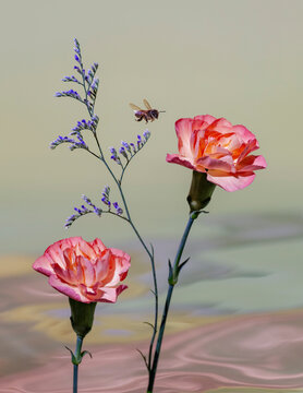 Bee in between Carnation and Sea Lavender