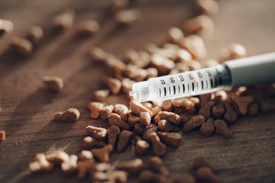 Lantus insulin pen on pet food representing diabetes treatment in dogs and cats
