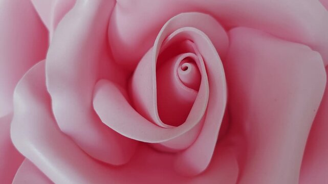 Hypnotic and romantic background of a beautiful artificial pink rose gently opening its petals. Perfect animation for romantic projects