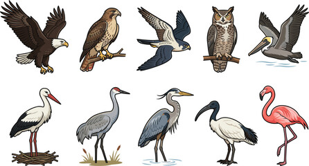 Obraz premium Birds of Prey and Waterfowl Vector Set Featuring Bald Eagle Owl Falcon Flamingo Heron and Stork for Nature Conservation Projects Wildlife Graphics and Educational Designs