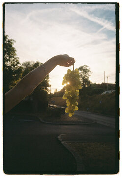 Hand holding a cluster of yellow grapes outdoors