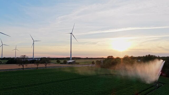Organic harvest in farm field. Agricultural harvest. Crop cultivation. Wind turbines farm. Green energy. Sprinkler irrigation system watering field. Wind mill for renewable electric energy production