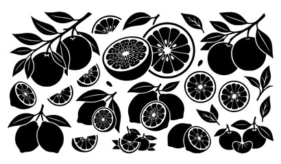Fototapeta premium Bold Black Citrus Fruit Silhouettes with Lemon Lime Orange Grapefruit Slices Leaves and Branches