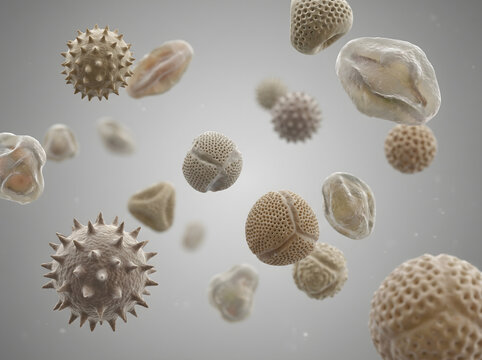 Pollen allergy snapshots showing microscopic allergen grains floating in air for seasonal medical research