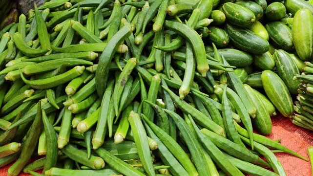 Fresh organic lady fingers okra vegetables pile