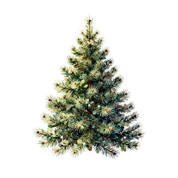 A solitary evergreen pine tree with small white baubles and pinecones