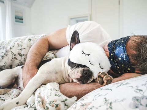 Man and charming French Bulldog sleeping in bed wearing sleep masks. Daytime sleep. Pet care, comfort, and love. Symbolizes deep bond and caring for animals. Ideal for pet lifestyle content