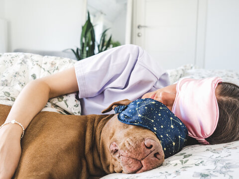 Woman and brown Pit Bull sleeping in bed wearing sleep masks. Daytime sleep. Pet care, comfort, and love. Symbolizes deep bond and caring for animals. Ideal for pet lifestyle content
