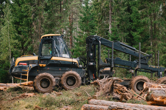 Forest harvesting machinery in operation, showcasing a wheeled harvester among felled logs and dense green trees in a woodland environment