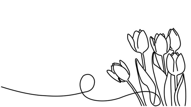 Tulip flowers bloom in continuous line drawing animation