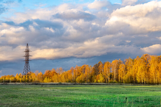 Golden trees line a vast green field