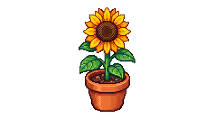 Classic video game style pixel art Sun flower. Transparent Sun Flower