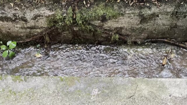flowing rain water in concrete drain, mossy stone walls and fallen leaves in outdoor natural lighting, urban water management and drainage concept