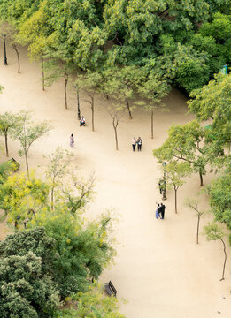 Spain, Barcelona.  View of people walking in park, from the tower of adjacent cathedral.