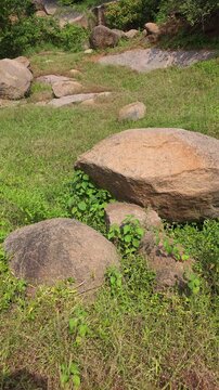 Granite boulders and grass in a natural landscape