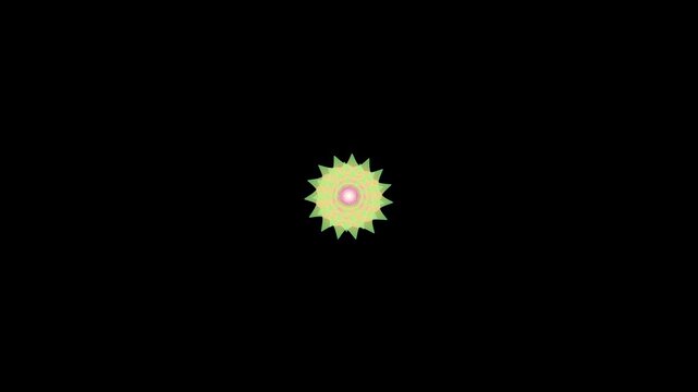 Prism Tansy Translucent Geometric Flower Animation floral motion backg
