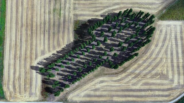 Aerial view of De Groene Kathedraal in Almere, the Netherlands