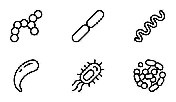 Bacteria icons set with cocci, bacilli, spirilla, vibrio and colony for science and medicine
