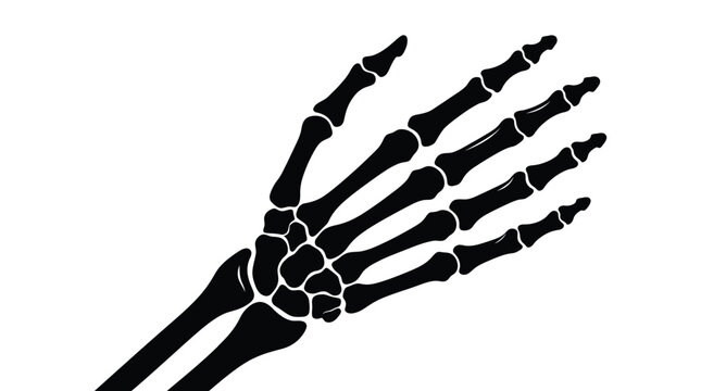 Detailed human hand skeleton vector illustration featuring anatomical bone structure in sharp black graphics