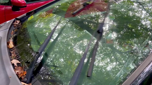 Windshield wipers spraying fluid and cleaning car glass