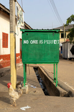 Roadside kiosk with rooster nearby, Elmina, Ghana
