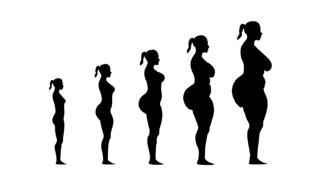 Silhouette progression of female body shapes illustrating growth stages weight gain transformation