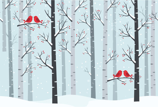 Winter forest scene with red birds on snowy birch tree branches for