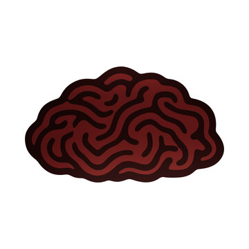 Dark red brain or internal organ with convoluted folds on transparent background, mind thought intelligence isolated on a transparent background