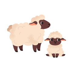 Fototapeta premium A sheep and lamb. Mother and child. Family. Farm animals. Cute cartoon pets. Vector illustration isolated on white background.