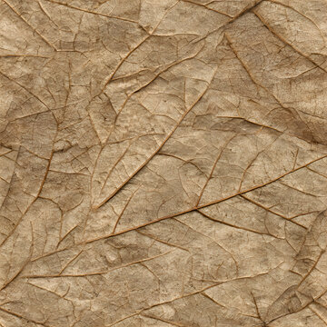 Leaf Surface Dry Seamless Texture