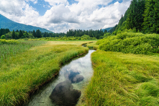 Idyllic view at the Zelenci Springs, nature reserve near the town of Kranjska Gora, Slovenia.