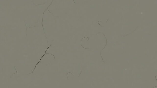 Grunge grey background with subtle scratches dust and hair particles texture
