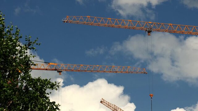 Multiple construction cranes swing long metal booms over green leaves on sunny day. High crane machinery operates steadily against vibrant blue sky with cumulus clouds during development project.