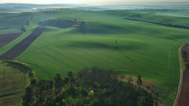 Aerial view of rolling green hills, agricultural fields, and a small forest patch under soft morning light in South Moravian Region, Czechia.