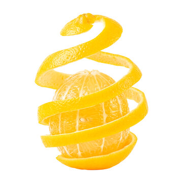 Peeled orange with a spiral lemon peel floating above transparent background