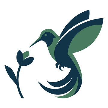 Modern vector graphic illustration of a green hummingbird drinking nectar