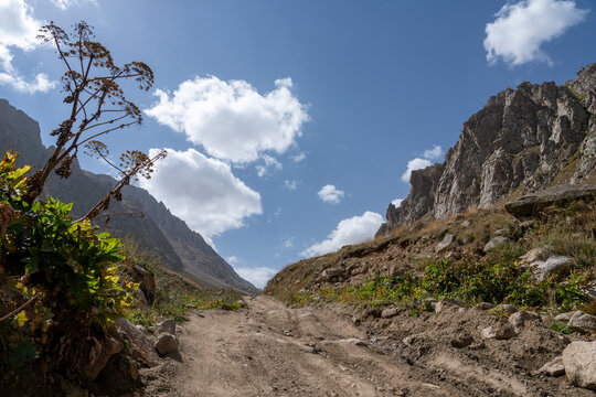 Rocky Mountain Hiking Trail Through a Dramatic Mountain Valley Under a Blue Sky.