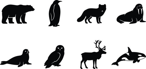 Obraz premium Arctic and Antarctic Animals Vector Silhouette Set Including Polar Bear Penguin Arctic Fox Walrus Seal Snowy Owl Reindeer and Killer Whale