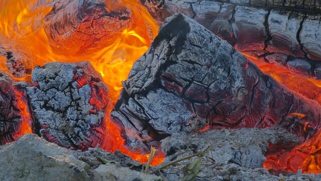 Buche noy&eacute; dans les flammes 