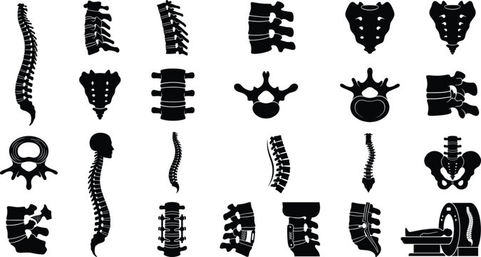 Human spine and vertebrae anatomy silhouettes set with medical icons for orthopedic surgery and back pain diagnostics