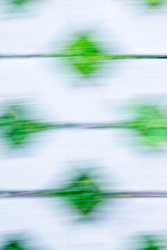 Abstract green background resembling plant cell structure and chlorophyll under microscope. Abstract image ideal for biotechnology, eco-friendly concepts, botany, clean energy