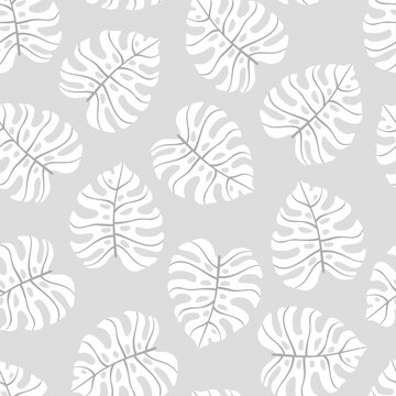 Vector seamless pattern with hand drawn monstera leaves. Cute jungle design for textile, backgrounds, wallpaper, wrapping paper, digital prints.