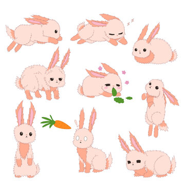 Pink fluffy rebbit bunnies with cute faces laying, jumping, sitting, eating, definitely for Easter, posters and postcards greetings.