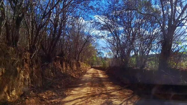 A packed-dirt road set in a rural landscape featuring vegetation typical of a semi-arid or transitional climate, with reddish soil and trees with dry branches against a sunny blue sky