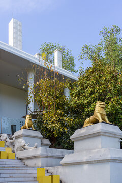 Vibrant yellow wall contrast with blue reflective glass windows in modern architectural composition