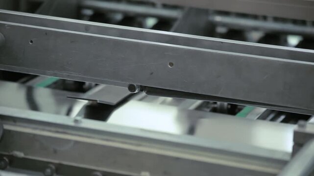 Conveyor belt moving white cheese blocks food factory. Close up production line.